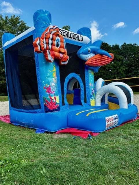 Korallenheini